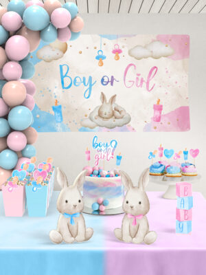 Cinsiyet Partisi Seti - Little Bunny - Maxi