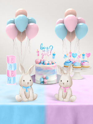 Cinsiyet Partisi Seti - Little Bunny - Mini