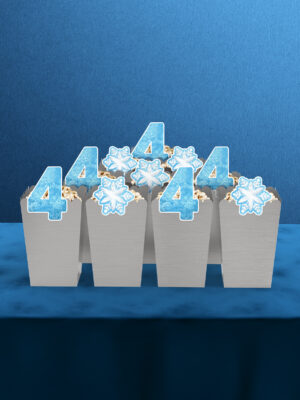 Frozen Elsa Temalı 4 Yaş 10'lu Mısır Kutusu