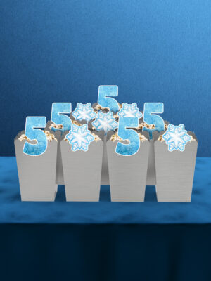 Frozen Elsa Temalı 5 Yaş 10'lu Mısır Kutusu