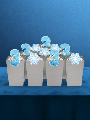 Frozen Elsa Temalı 3 Yaş 10'lu Mısır Kutusu