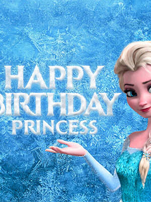 Elsa Doğum Günü Süsleri